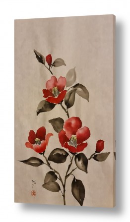 ציורים שלי גולן | קמליות אדומות