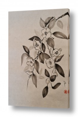 ציורים שלי גולן | קמליות לבנות