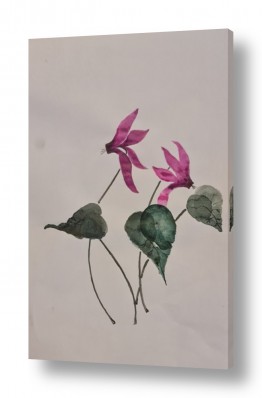 פרחים פרחים | ריקוד הרקפות