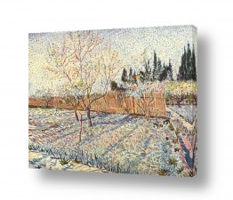 אמנים מפורסמים וינסנט ואן גוך | Van Gogh 017