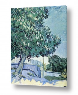 אמנים מפורסמים וינסנט ואן גוך | Blossoming chestnut trees
