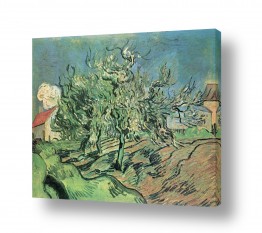 תמונות לפינת אוכל תמונות לפינת אוכל קלאסית | Van Gogh 041