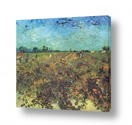 אמנים מפורסמים וינסנט ואן גוך | The Green Vineyard