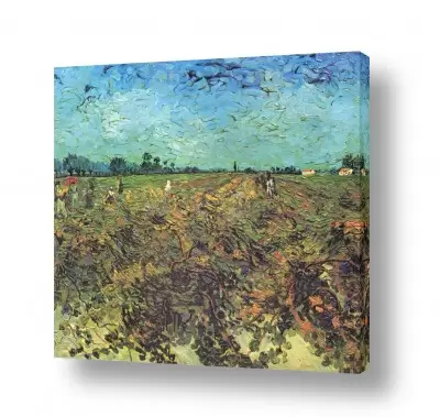 אומנות יפה אומנות קלאסית | The Green Vineyard