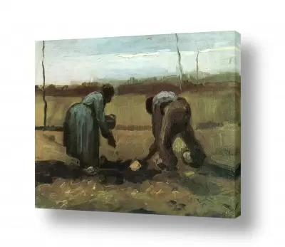 תמונות לפינת אוכל תמונות לפינת אוכל קלאסית | Van Gogh 092