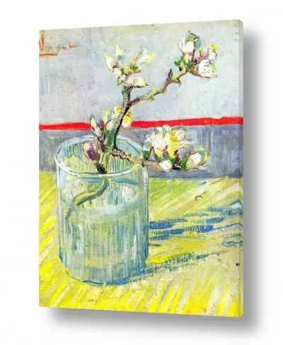 טבע דומם אגרטל פרחים | almond blossoms