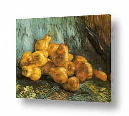 אמנים מפורסמים וינסנט ואן גוך | Quince Pears