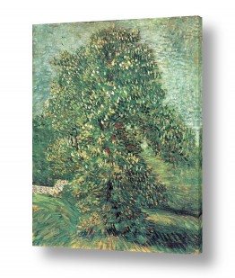 אמנים מפורסמים וינסנט ואן גוך | Chestnut Tree in Blossom