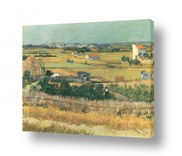 תמונות לפי נושאים נס |  harvest at la crau