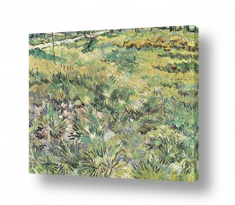 צבעים פופולארים צבע אפור | grass with butterflies