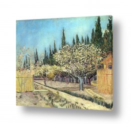 נושאים אמנים מפורסמים | Orchard Blossom,Bordered 