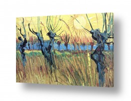 אמנים מפורסמים וינסנט ואן גוך | Willows at sunset