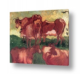 צבעים פופולארים צבע חום |  cows  