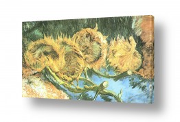 צבעים פופולארים צבע זהב | Two Cut Sunflowers