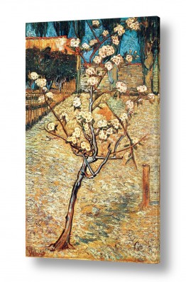 אמנים מפורסמים וינסנט ואן גוך | pear tree in blossom