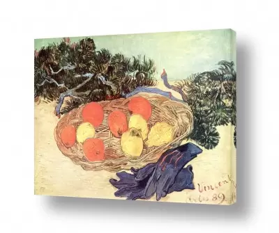 פירות הדר לימונים | oranges and lemons