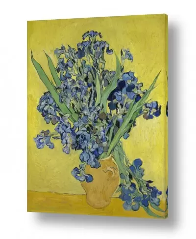 טבע דומם אגרטל פרחים | irises