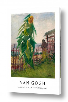 אמנים מפורסמים וינסנט ואן גוך | Allotment With Sunflower