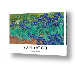 אמנים מפורסמים וינסנט ואן גוך | Van Gogh Irises