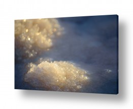 צילומים צילומים חופים וים | גבישי מלח