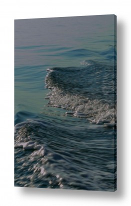 ימים ואגמים בישראל ים המלח | גלים מלוחים