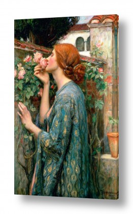 ציורים ציורים מפורסמים | The Soul Of The Rose