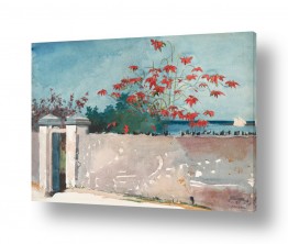 אמנים מפורסמים וינסלו הומר | A Wall, Nassau