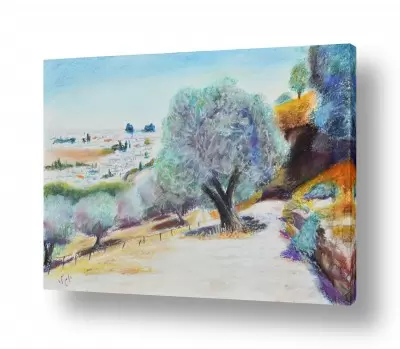 נוף ים ים ואוקיינוס | עצי זית בחווה בגיא