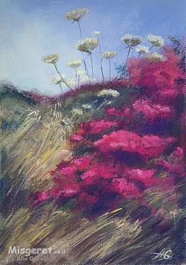 בוגנוויליה וגזר קיפח