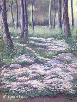 פריחת הרקפות