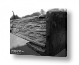 צילומים צילומים שחור לבן | עץ ומתכת