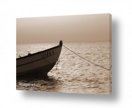 צילומים אמיר אלון | סירת דייגים