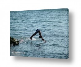 אמיר אלון אמיר אלון - צילום מקצועי אומנותי | צילום טבע - ים | 90 מעלות