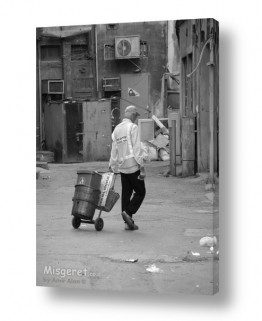 אמיר אלון אמיר אלון - צילום מקצועי אומנותי | צילום טבע - חיפה | משמרת ערב