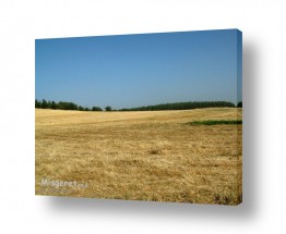תמונות לפי נושאים חקלאות | מרחבים