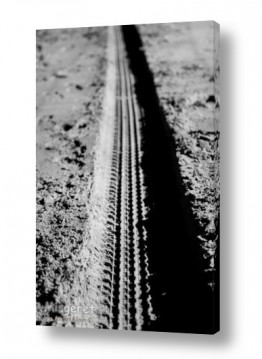 צילומים צילומים שחור לבן | מסלול
