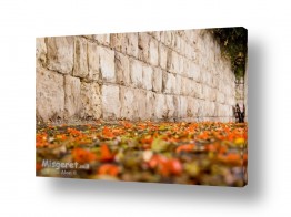 צילומים אווירה לחדרי פינת ישיבה | מדרכה חורפית