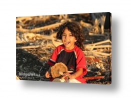 צילומים צילום תיעודי | חיוך חמניה