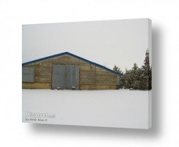 אמיר אלון אמיר אלון - צילום מקצועי אומנותי | צילום טבע - שלג | המחסן