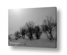 אמיר אלון אמיר אלון - צילום מקצועי אומנותי | צילום טבע - שלג | זריחה על חרמון