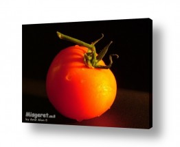 תמונות לפי נושאים בריאות | עגבניה
