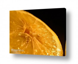 פירות הדר לימון | לימון
