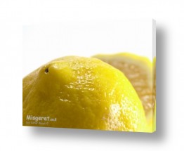 פירות פירות הדר | לימון