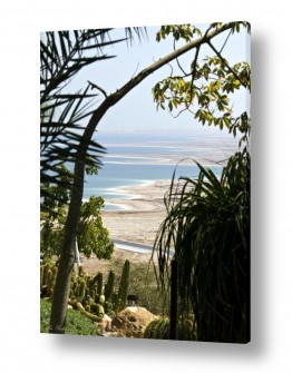 ארי בלטינשטר ארי בלטינשטר - צילומי מוצר,טבע ואמנות - חופים | מבט לים המלח