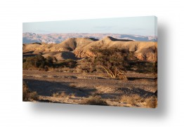 תמונות למשרד תמונות למשרד בסגנון נורדי נקי | נוף בערבה