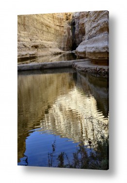 ארי בלטינשטר ארי בלטינשטר - צילומי מוצר,טבע ואמנות - מדבר | מים במדבר 