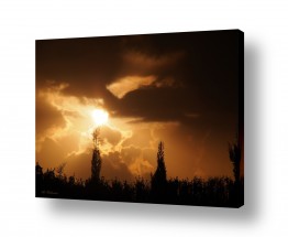 ארי בלטינשטר ארי בלטינשטר - צילומי מוצר,טבע ואמנות - עננים | ברושים בשקיעה