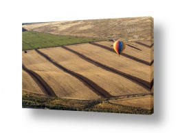 ארי בלטינשטר ארי בלטינשטר - צילומי מוצר,טבע ואמנות - שדות | לעוף על העמק