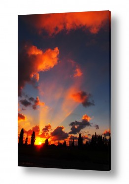 ארי בלטינשטר ארי בלטינשטר - צילומי מוצר,טבע ואמנות - ענן | קרניים של תקווה