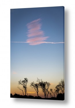 ארי בלטינשטר ארי בלטינשטר - צילומי מוצר,טבע ואמנות - עננים | כמו חתימה בשמיים